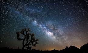 Find Your Park Joshua Tree National Park