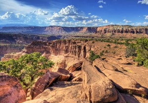 spring utah camping