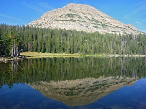 spring utah camping