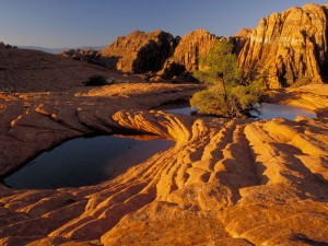 spring utah camping