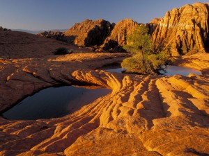 spring utah camping