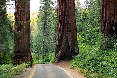 summer california camping