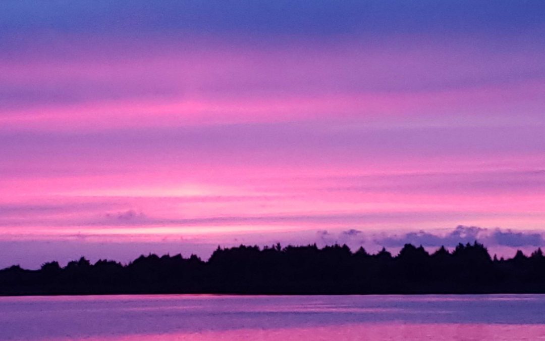 Phone Photography 101