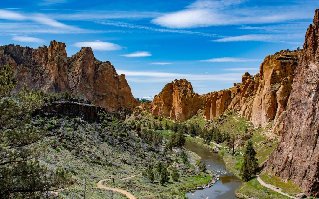 Lost Campers Staff Picks for Roadtrips